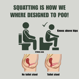 Folding Timber Toilet Stool