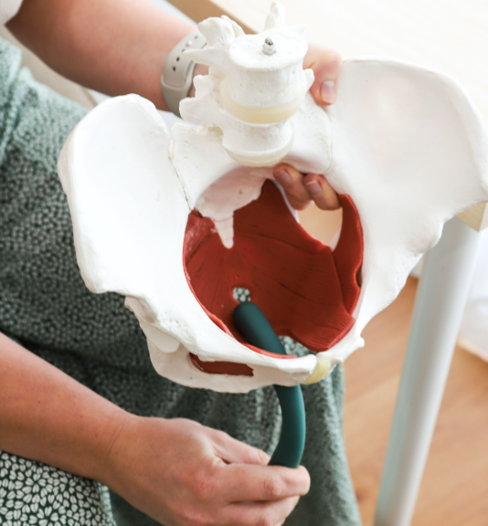 Pelvic Floor Physiotherapy and Recovery After Endometriosis Surgery